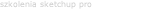 szkolenia sketchup pro